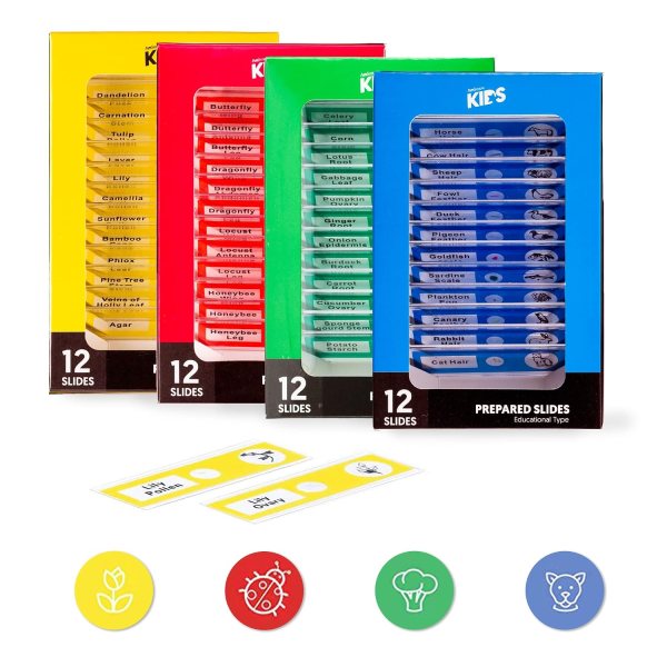 Kids Plastic Prepared Microscope Slides